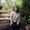 Photo of Ai-Linh T.