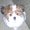 Photo of Cookie B.