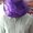 Photo of Sarab S.