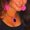 Photo of Susana D.