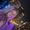 Photo of Mariya G.