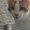 Photo of Cat R.