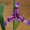 Photo of Iris A.