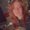 Photo of Samantha S.