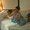 Photo of Kerri J.