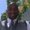 Photo of Mario T.