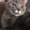 Photo of Kevin P.