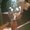 Photo of Redsalmon67 H.