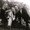Photo of Tracy P.