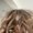 Photo of Pnina Tahel S.
