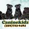 Caninekidz ..