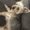 Photo of Jaxxon S.