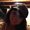 Photo of Abby J.