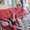 Photo of Lynda Z.