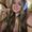 Photo of Vanessa P.