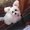 Photo of Candy C.