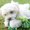 Photo of Inny M.
