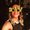 Photo of Beth O.