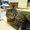 Photo of Missy S.