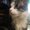 Photo of Kat S.