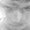 Photo of Mickle C.