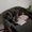 Photo of Lila L.