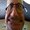 Photo of Fester G.