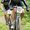 Photo of Qype User (samali…)