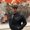 Photo of Adriel D.