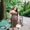 Photo of Mia H.