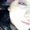 Photo of Madisyn G.