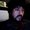 Photo of Enrique S.