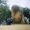 Photo of Nicolee S.