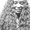 Photo of Afton M.