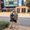 Photo of Eryn D.
