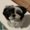 Photo of Cherry C.
