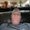 Photo of Jason C.