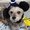 Photo of Puck F.