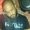 Photo of Alim A.