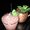 Photo of Duyen N.