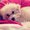 Photo of Zhe L.