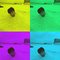 Shashank S.