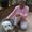 Photo of Carol Z.