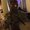 Photo of Saleem L.