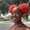 Photo of Jenisa J.