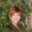 Photo of Karen M.