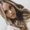 Photo of Lexi B.