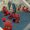 Photo of Barry G.