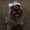 Photo of Itzel T.