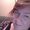 Photo of Lenore K.